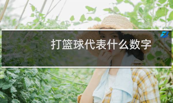 打篮球代表什么数字图片