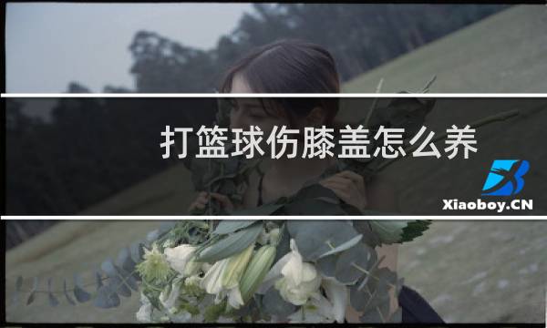 打篮球伤膝盖怎么养图片