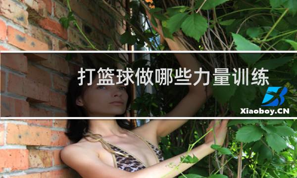 打篮球做哪些力量训练图片