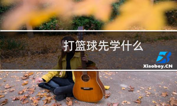 打篮球先学什么图片