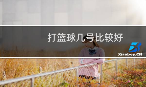 打篮球几号比较好图片
