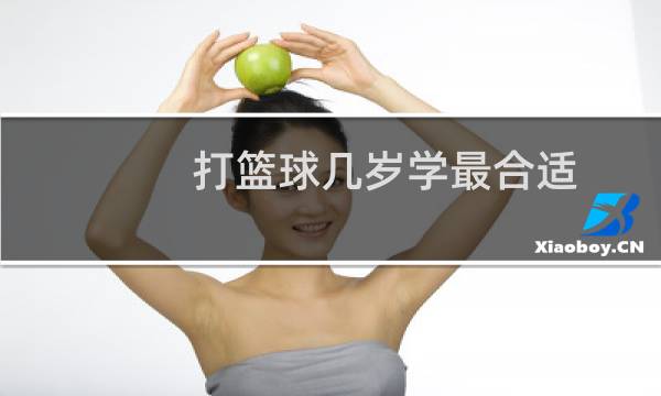 打篮球几岁学最合适图片