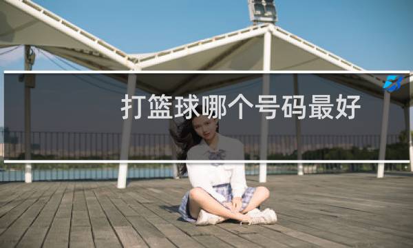 打篮球哪个号码最好图片
