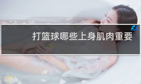 打篮球哪些上身肌肉重要图片