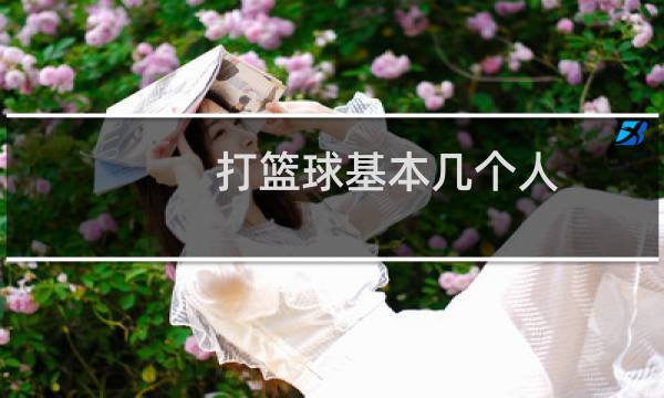 打篮球基本几个人图片