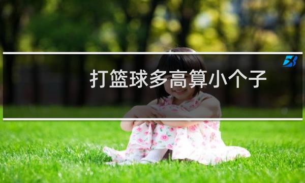 打篮球多高算小个子图片