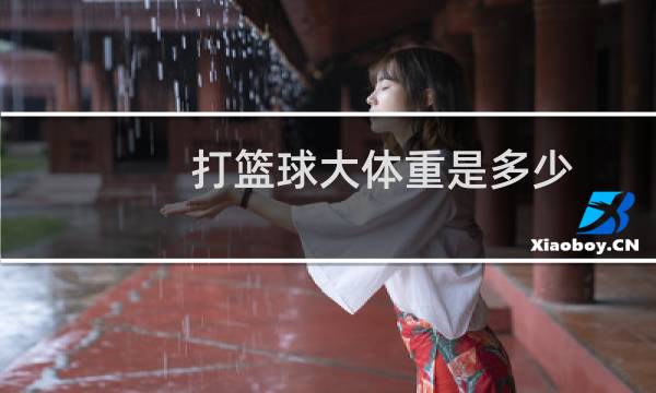 打篮球大体重是多少图片