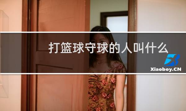 打篮球守球的人叫什么图片