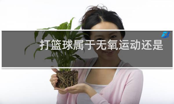 打篮球属于无氧运动还是有氧运动吧图片