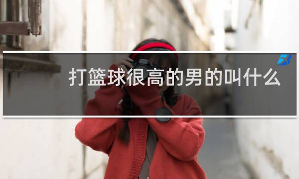 打篮球很高的男的叫什么图片