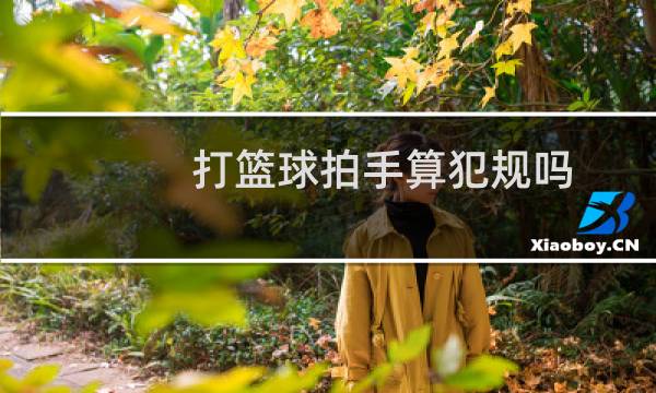 打篮球拍手算犯规吗图片