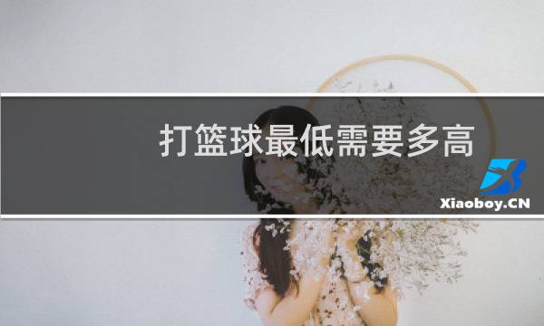 打篮球最低需要多高图片