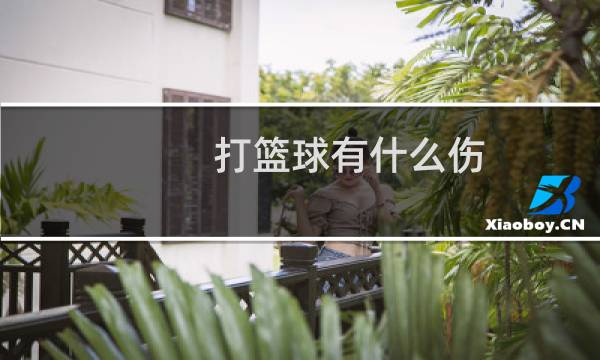 打篮球有什么伤图片