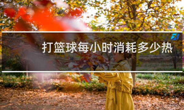 打篮球每小时消耗多少热量图片
