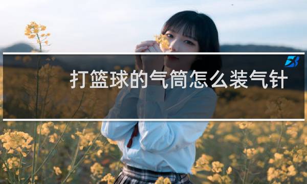 打篮球的气筒怎么装气针图片