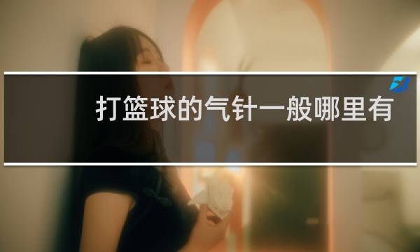 打篮球的气针一般哪里有卖图片
