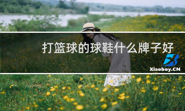 打篮球的球鞋什么牌子好图片
