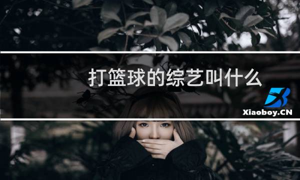 打篮球的综艺叫什么图片