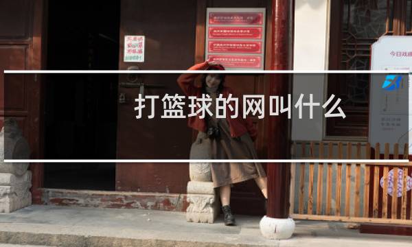 打篮球的网叫什么图片