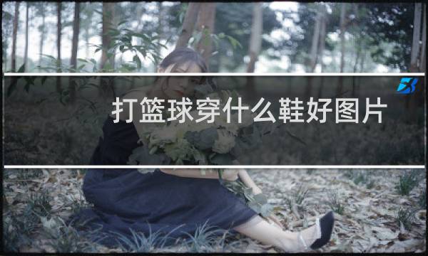 打篮球穿什么鞋好图片图片