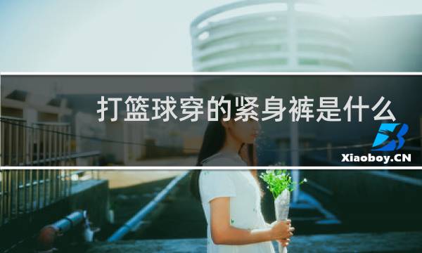 打篮球穿的紧身裤是什么图片