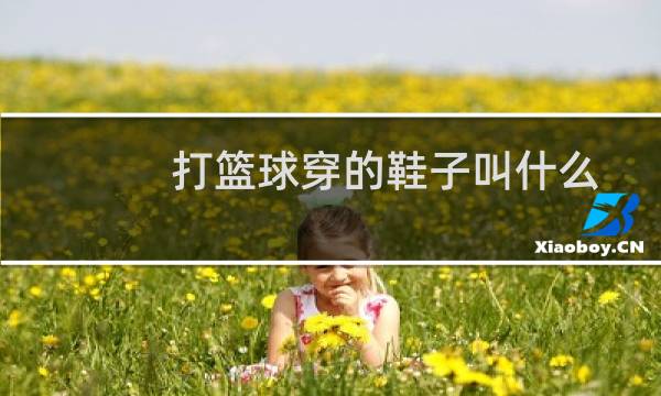 打篮球穿的鞋子叫什么图片