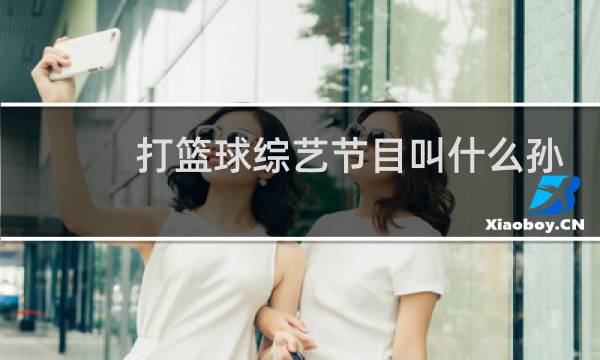 打篮球综艺节目叫什么孙悦图片