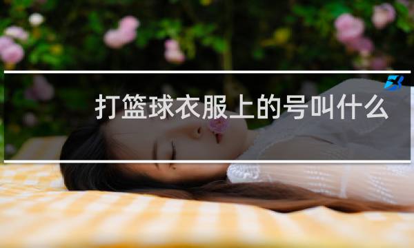 打篮球衣服上的号叫什么图片