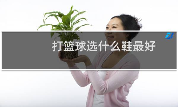打篮球选什么鞋最好图片