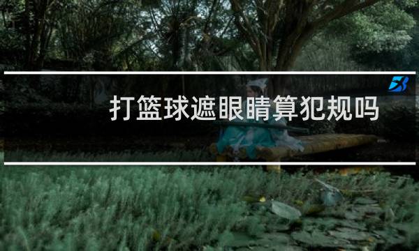 打篮球遮眼睛算犯规吗图片