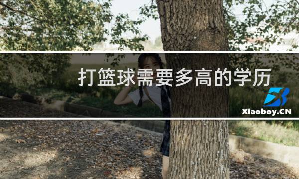 打篮球需要多高的学历图片