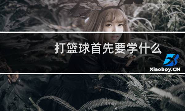 打篮球首先要学什么图片