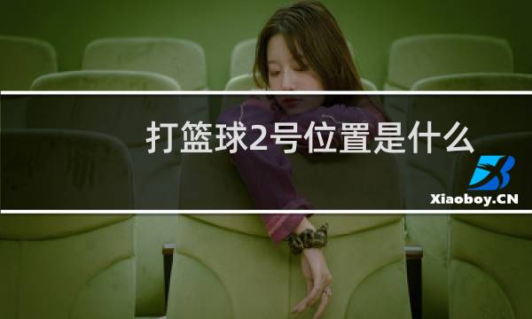 打篮球2号位置是什么图片