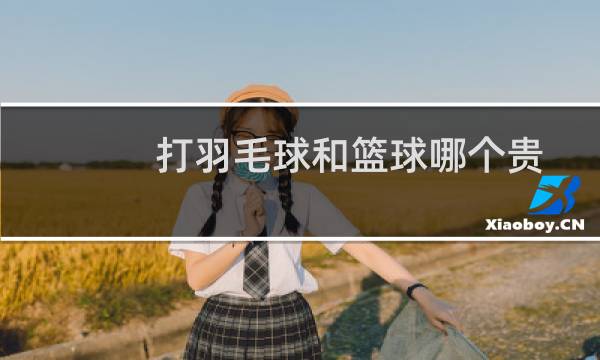 打羽毛球和篮球哪个贵图片