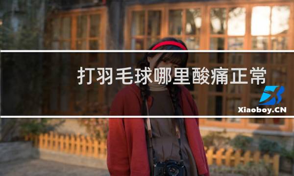 打羽毛球哪里酸痛正常图片