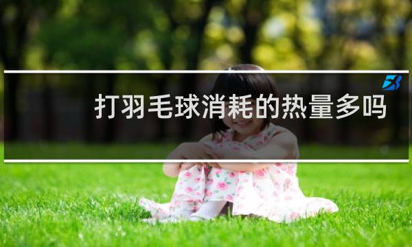 打羽毛球消耗的热量多吗图片
