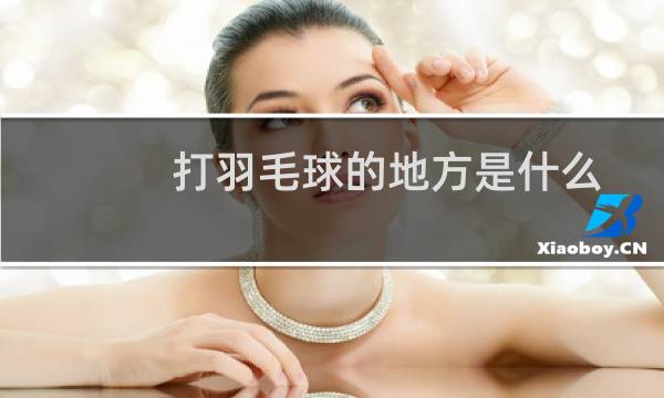 打羽毛球的地方是什么图片
