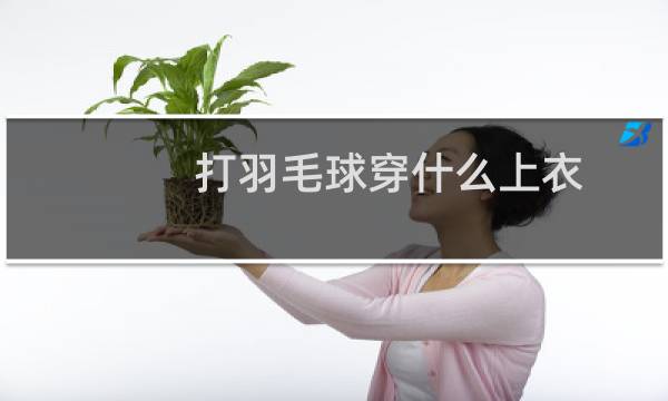 打羽毛球穿什么上衣图片