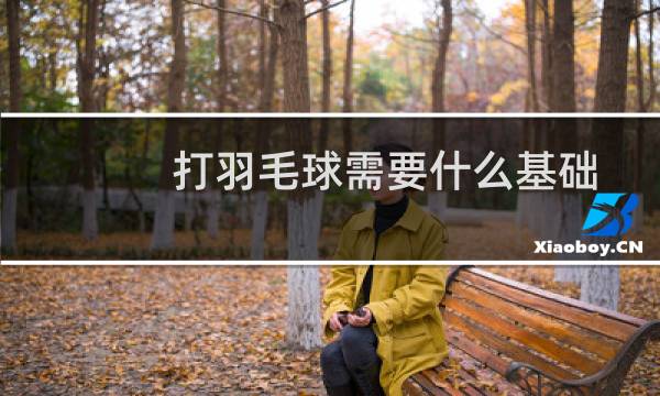 打羽毛球需要什么基础图片