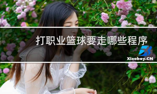 打职业篮球要走哪些程序图片