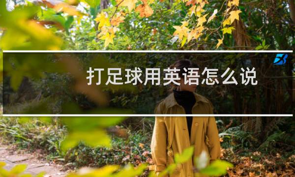 打足球用英语怎么说图片