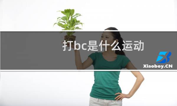 打bc是什么运动图片