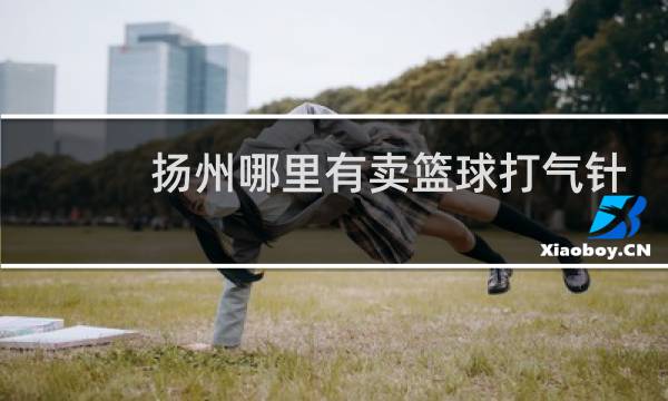 扬州哪里有卖篮球打气针图片