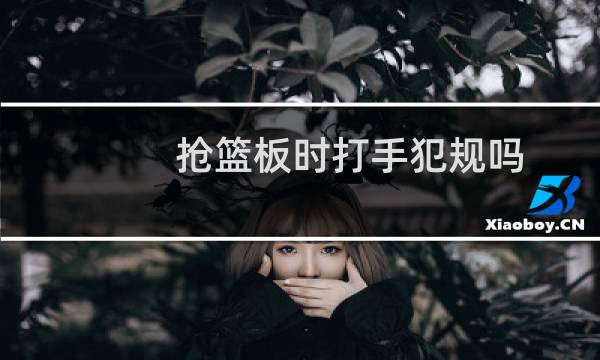 抢篮板时打手犯规吗图片