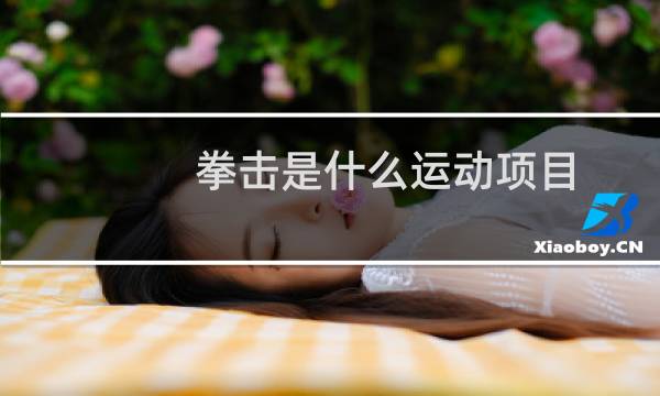 拳击是什么运动项目图片