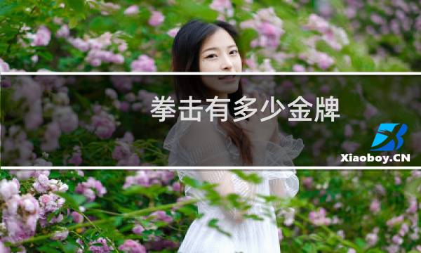 拳击有多少金牌图片