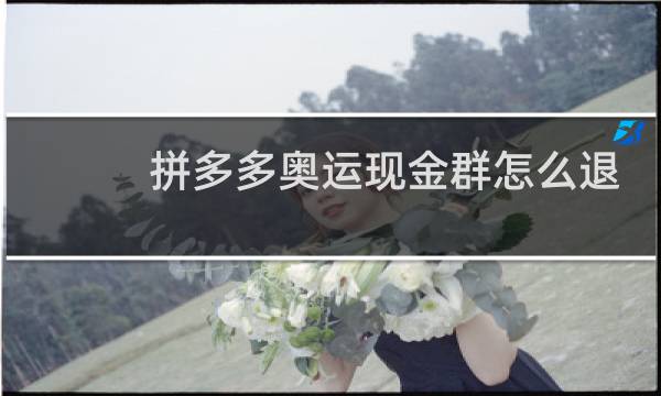 拼多多奥运现金群怎么退图片