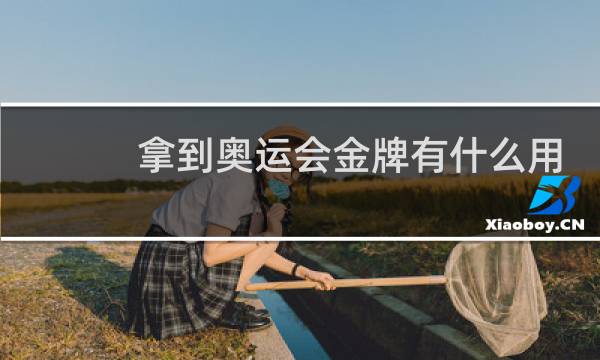 拿到奥运会金牌有什么用图片