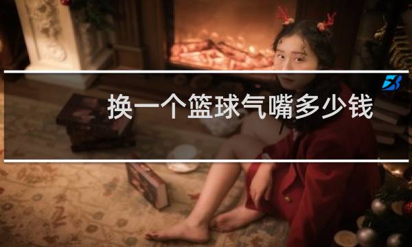 换一个篮球气嘴多少钱图片