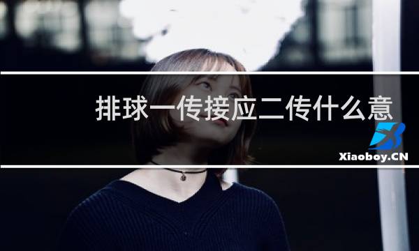排球一传接应二传什么意思图片